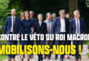 Contre le véto du Roi Macron, mobilisons-nous !